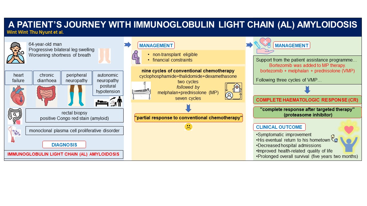 Graphical abstract